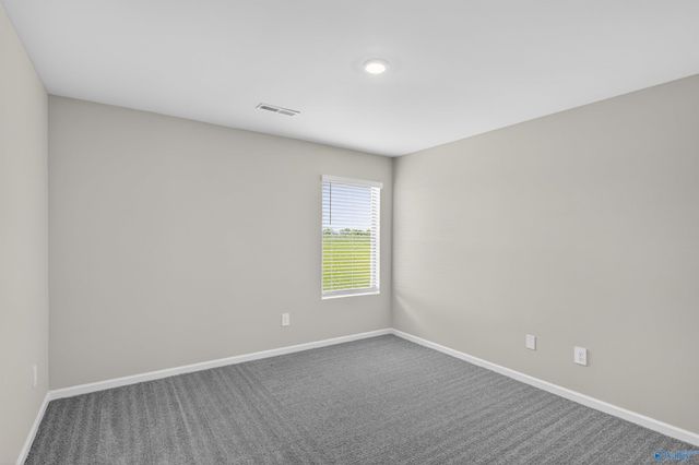 1053 Rider Drive, Trinity, AL 35673