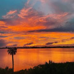 850 TIDEWATER SHORES LOOP 402, Bradenton, FL 34208