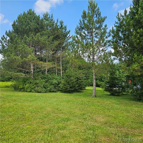 10248 Clarksburg Road, North Collins, NY 14057