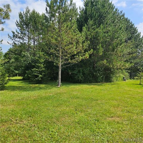 10248 Clarksburg Road, North Collins, NY 14057