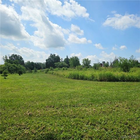 10248 Clarksburg Road, North Collins, NY 14057