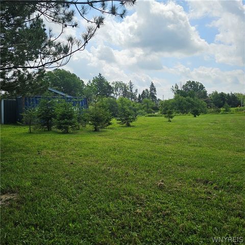 10248 Clarksburg Road, North Collins, NY 14057