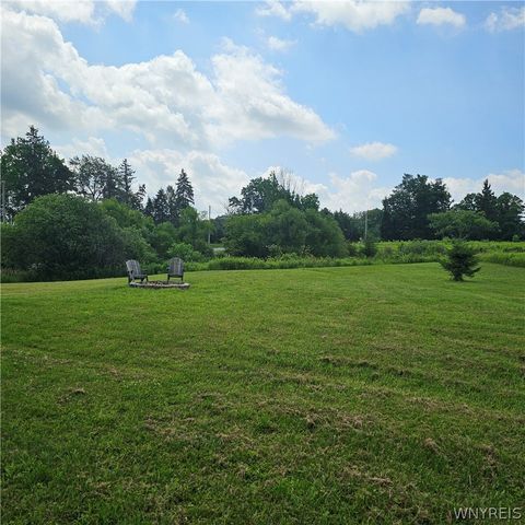 10248 Clarksburg Road, North Collins, NY 14057
