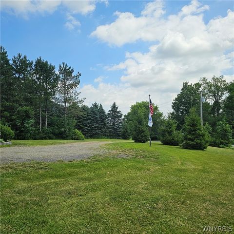 10248 Clarksburg Road, North Collins, NY 14057