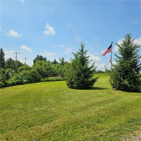 10248 Clarksburg Road, North Collins, NY 14057