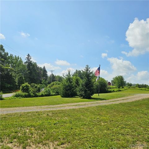 10248 Clarksburg Road, North Collins, NY 14057