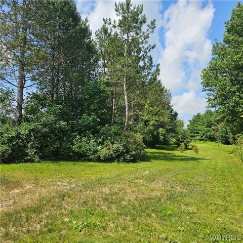 10248 Clarksburg Road, North Collins, NY 14057