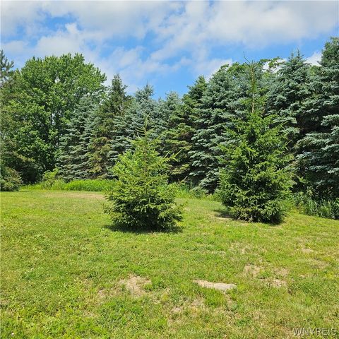 10248 Clarksburg Road, North Collins, NY 14057