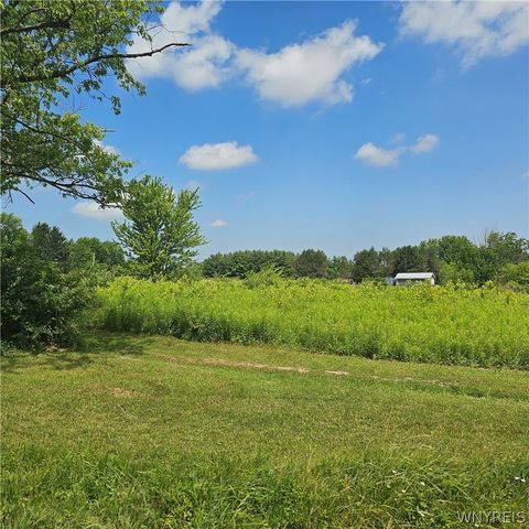 10248 Clarksburg Road, North Collins, NY 14057