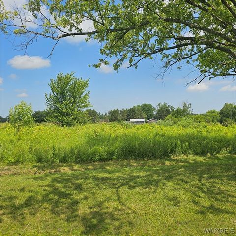10248 Clarksburg Road, North Collins, NY 14057