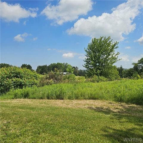10248 Clarksburg Road, North Collins, NY 14057