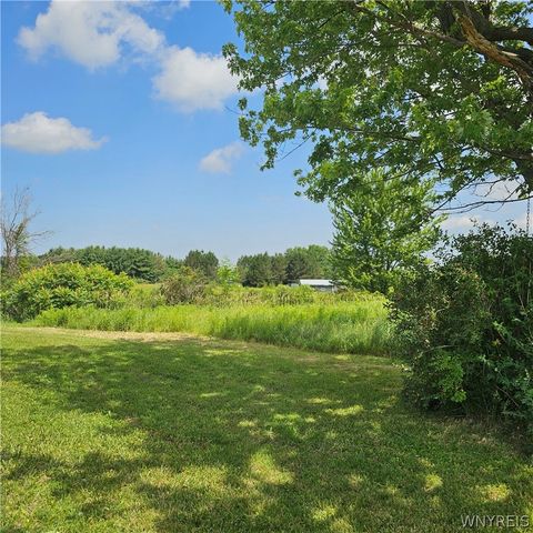 10248 Clarksburg Road, North Collins, NY 14057