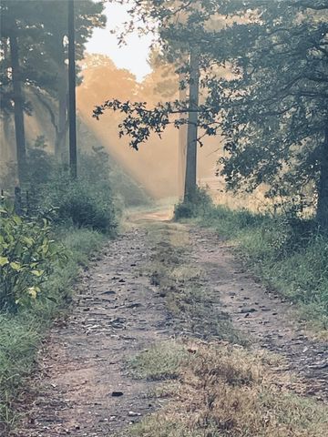 TBD Copeland Hill RD 3, Smithville, TX 78957