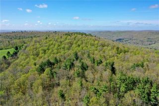 Mill Creek Road, Otego, NY 13825