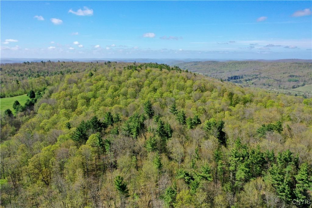 Mill Creek Road, Otego, NY 13825