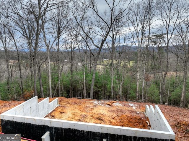 0 Sugar Creek, Blue Ridge, GA 30513