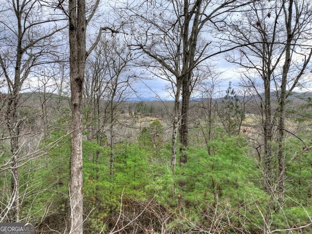 0 Sugar Creek, Blue Ridge, GA 30513
