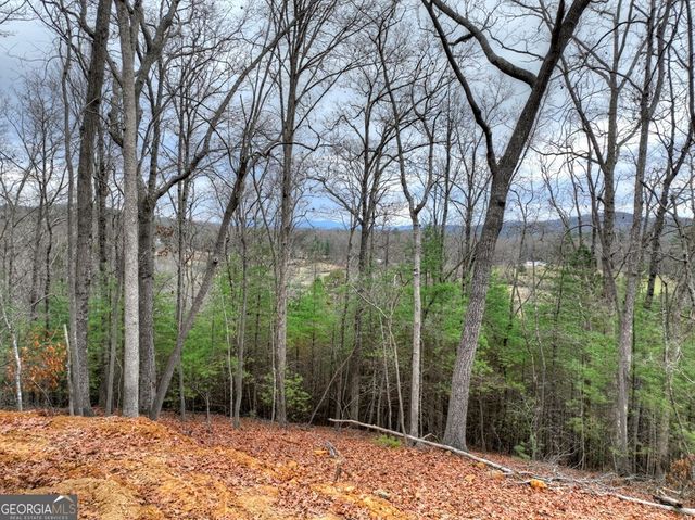 0 Sugar Creek, Blue Ridge, GA 30513