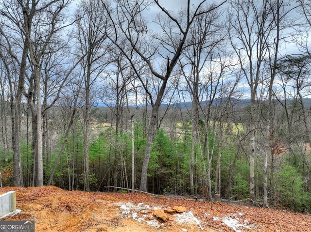 0 Sugar Creek, Blue Ridge, GA 30513