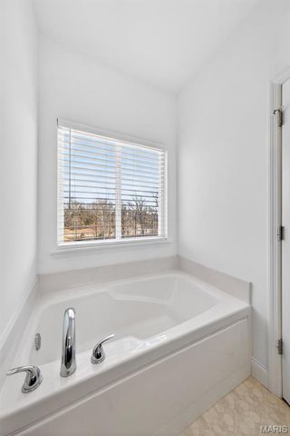 299 Auburn Ridge Drive, Troy, MO 63379