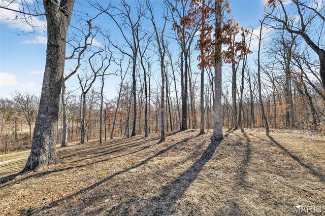 299 Auburn Ridge Drive, Troy, MO 63379