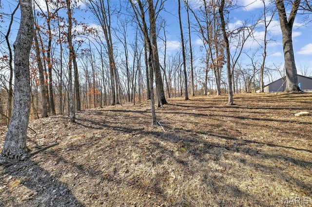 299 Auburn Ridge Drive, Troy, MO 63379