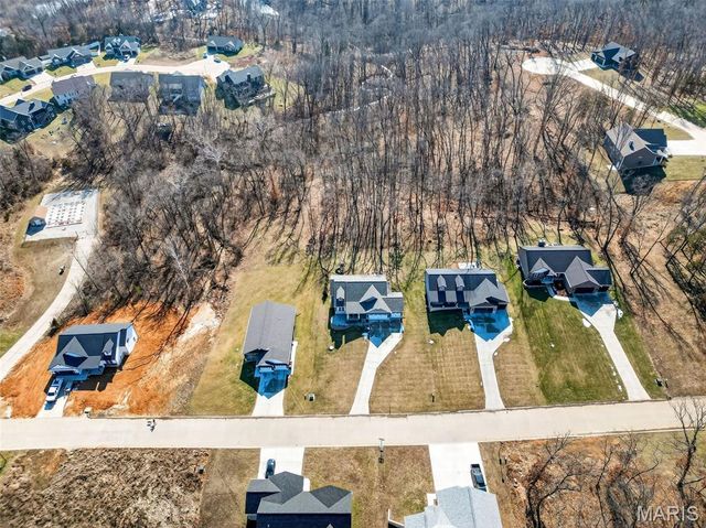 299 Auburn Ridge Drive, Troy, MO 63379