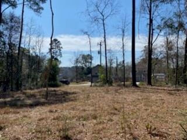 529 Mohawk Bend, Conroe, TX 77316