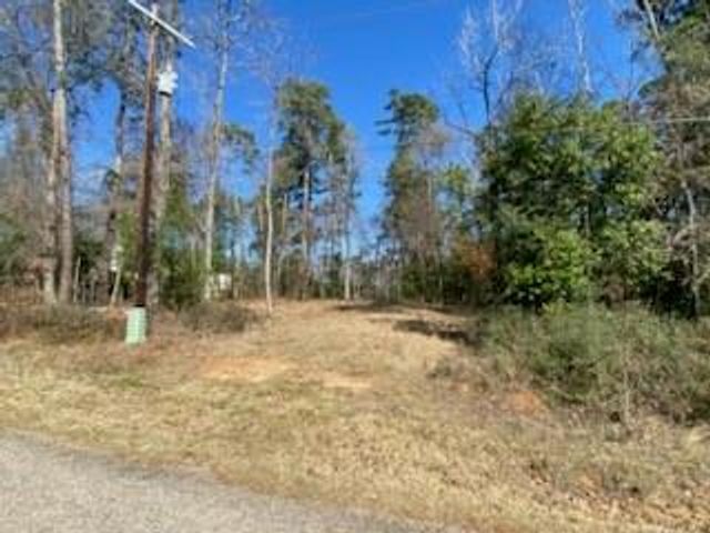 529 Mohawk Bend, Conroe, TX 77316