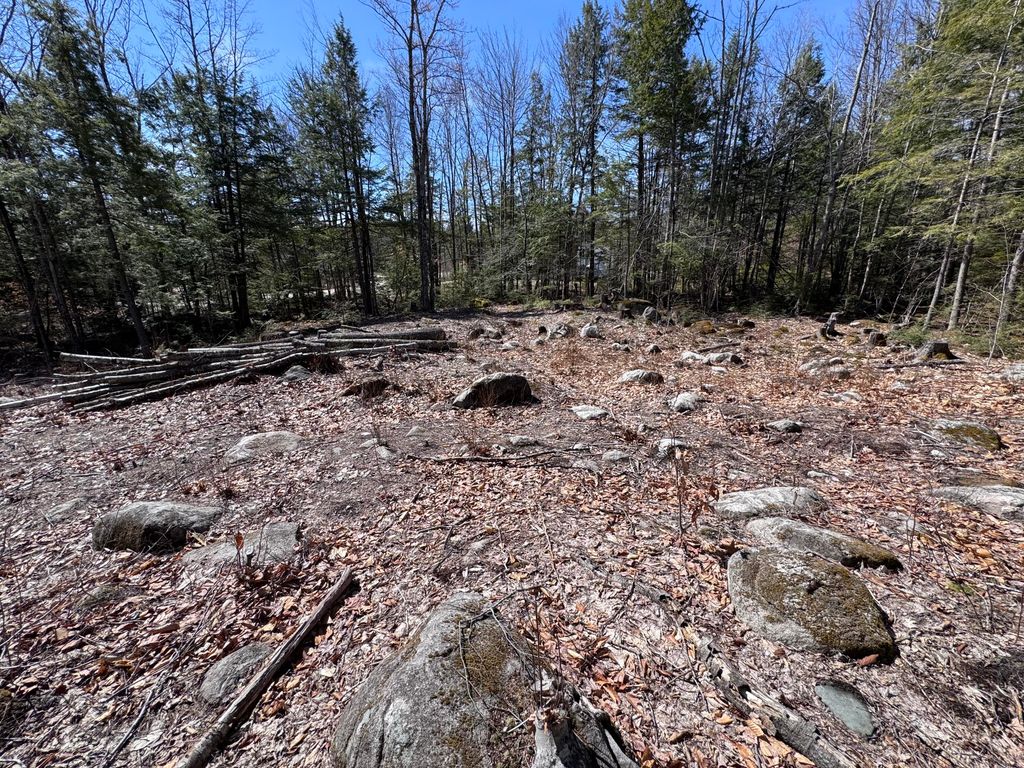 11 Ward Road, Sebago, ME 04029 — photo 4
