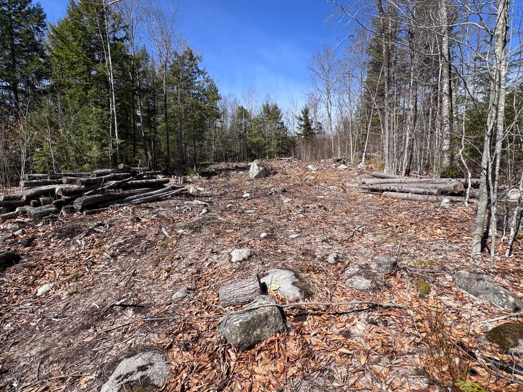 11 Ward Road, Sebago, ME 04029 — photo 5