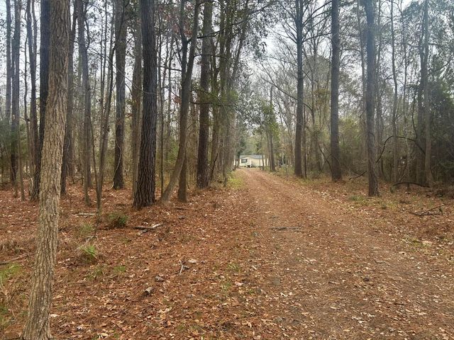 2437 Cape Road, Johns Island, SC 29455