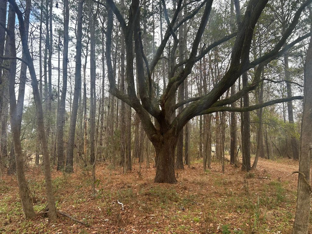 2437 Cape Road, Johns Island, SC 29455