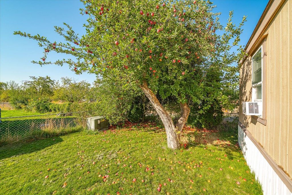 21725 E Wellesley Ave, Otis Orchards, WA 99027 photo 40