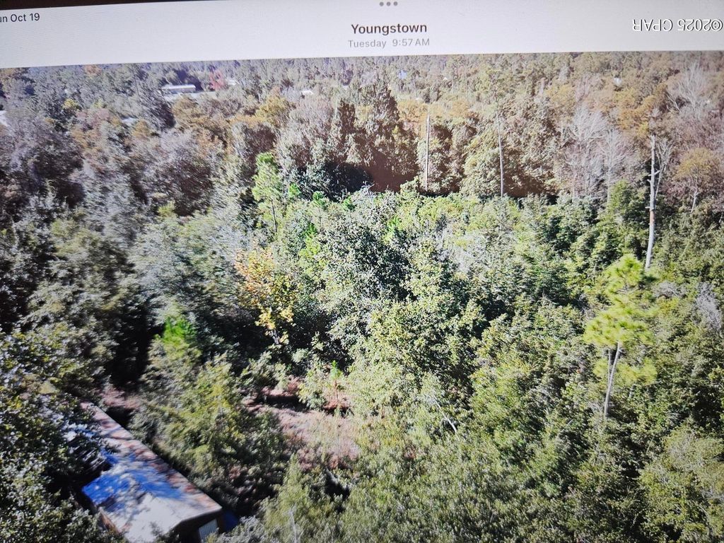 9110 Oakridge Lane, Youngstown, FL 32466