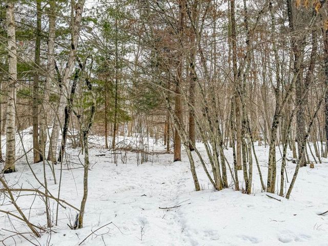 N9076 BRIDGE ROAD, Phillips, WI 54555