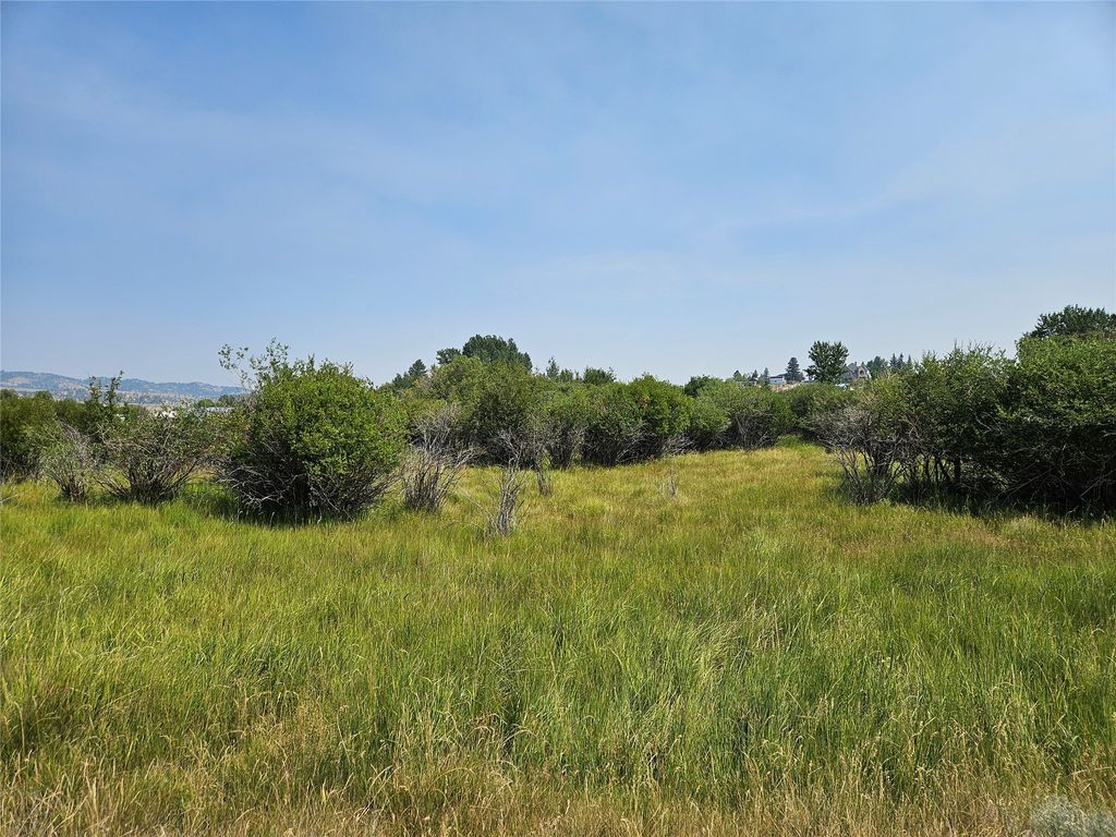 NHN W Woodson Street, White Sulphur Springs, MT 59645 photo 4