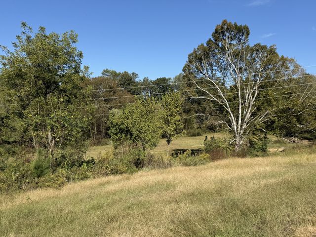 115 Franklin St, Estill Springs, TN 37330