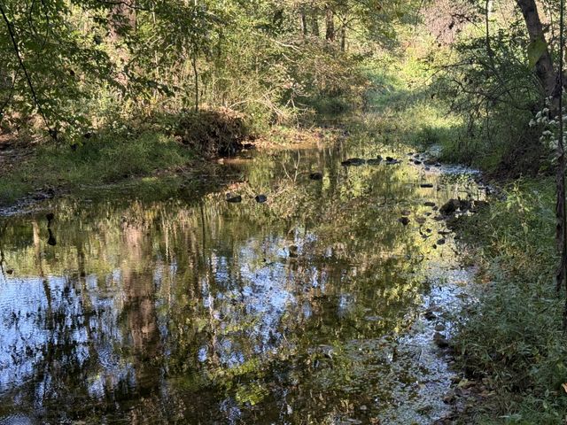 115 Franklin St, Estill Springs, TN 37330