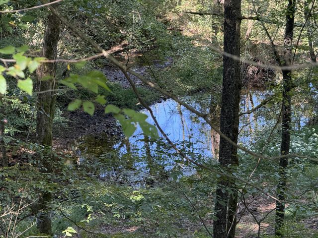 115 Franklin St, Estill Springs, TN 37330