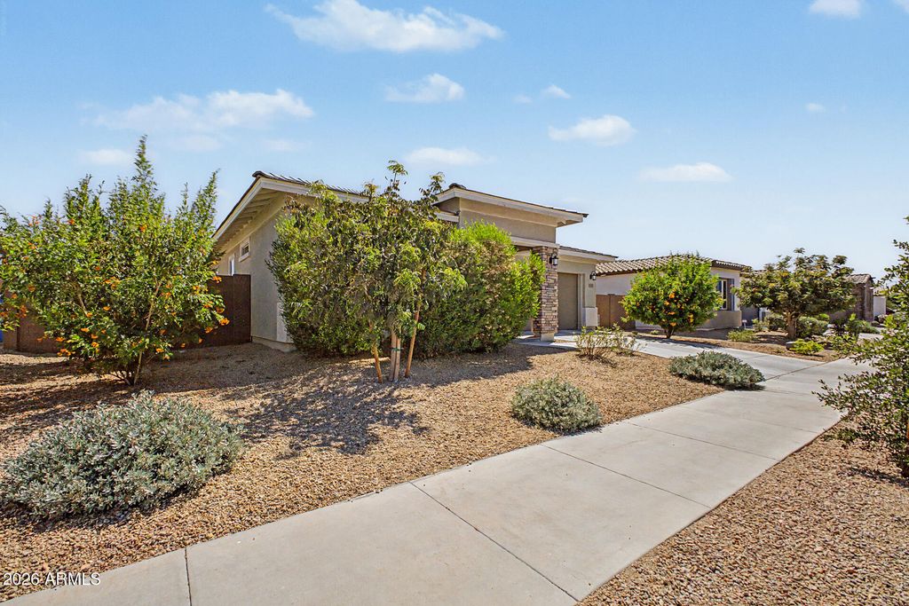 3911 W BUIST Avenue, Laveen, AZ 85339 — photo 4