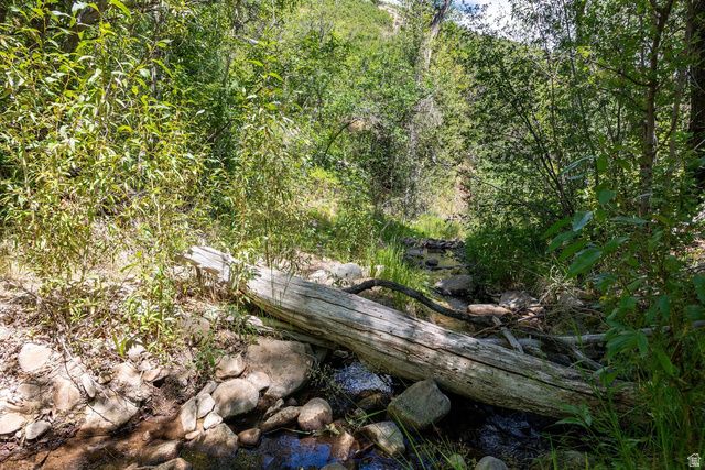 178 N OAKWOOD CIR, Springville, UT 84663