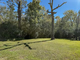 142 W Hickory Cove, Onalaska, TX 77360