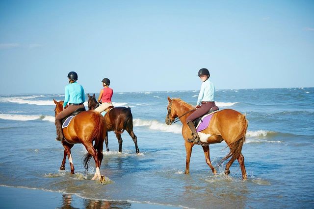 157 High Hammock Villas, Seabrook Island, SC 29455
