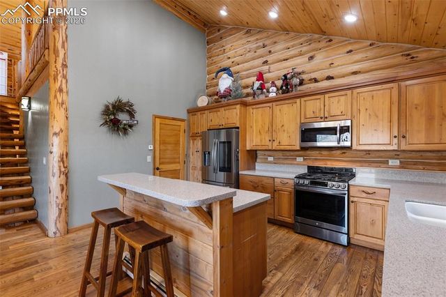 9110 Mountain Road, Cascade, CO 80809
