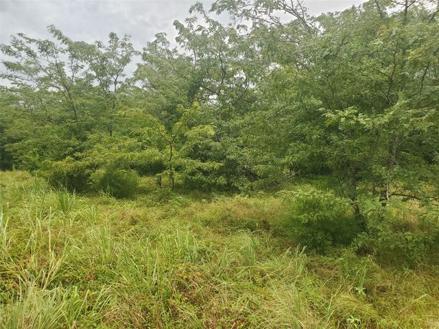 TBD Fm 2649, Lone Oak, TX 75453