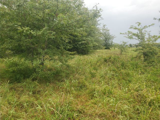TBD Fm 2649, Lone Oak, TX 75453