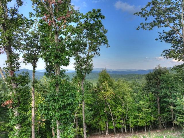 224 Eagle Ridge, Morganton, GA 30560