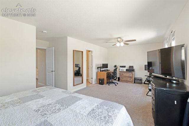 6035 White Wolf Point, Colorado Springs, CO 80925