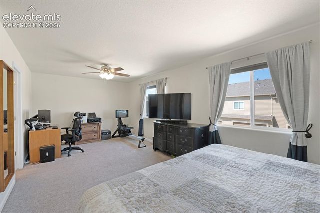 6035 White Wolf Point, Colorado Springs, CO 80925